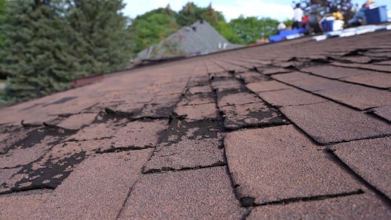 Best Emergency Roof Repair Services  in Carrizozo, NM