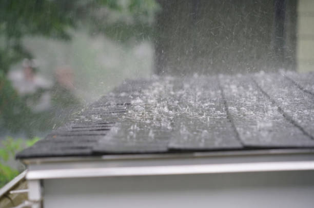 Best Flat Roofing  in Carrizozo, NM