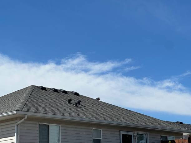 Best Rubber Roofing (EPDM, TPO)  in Carrizozo, NM